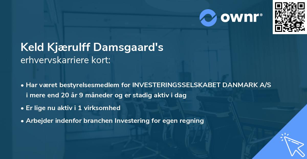 Keld Kjærulff Damsgaard's erhvervskarriere kort