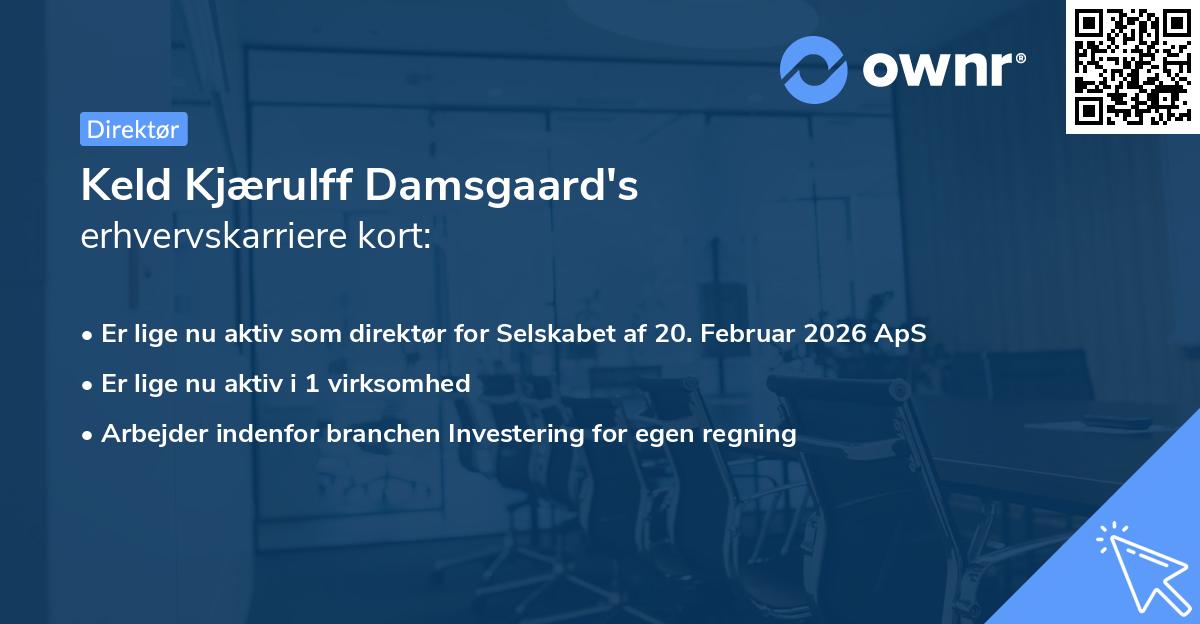 Keld Kjærulff Damsgaard's erhvervskarriere kort
