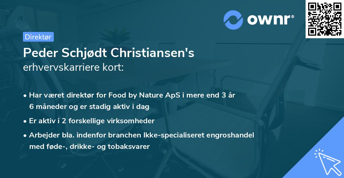 Peder Schjødt Christiansen's erhvervskarriere kort
