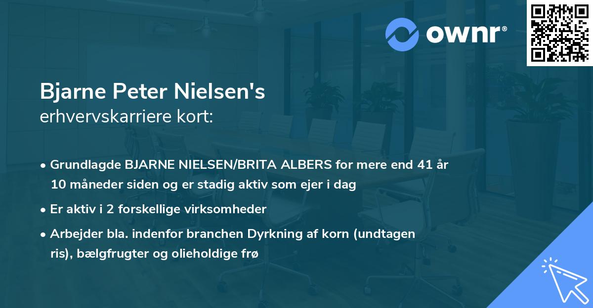 Bjarne Peter Nielsen's erhvervskarriere kort