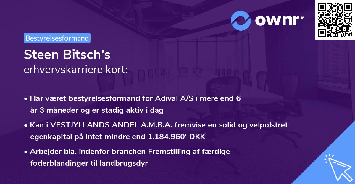 Steen Bitsch's erhvervskarriere kort