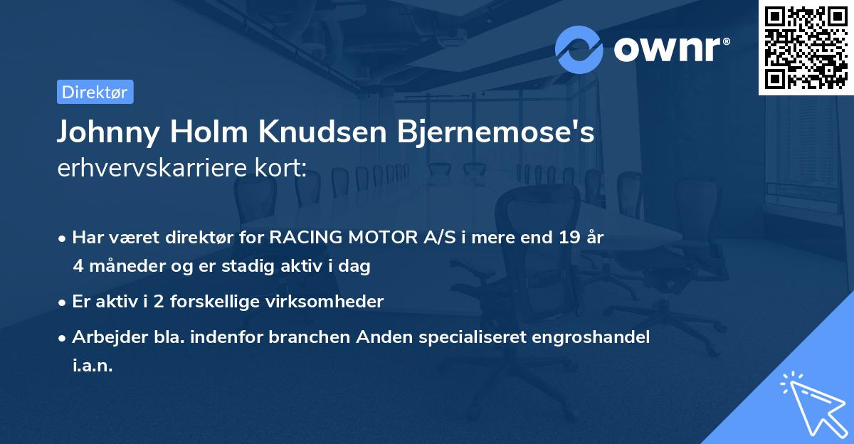 Johnny Holm Knudsen Bjernemose's erhvervskarriere kort