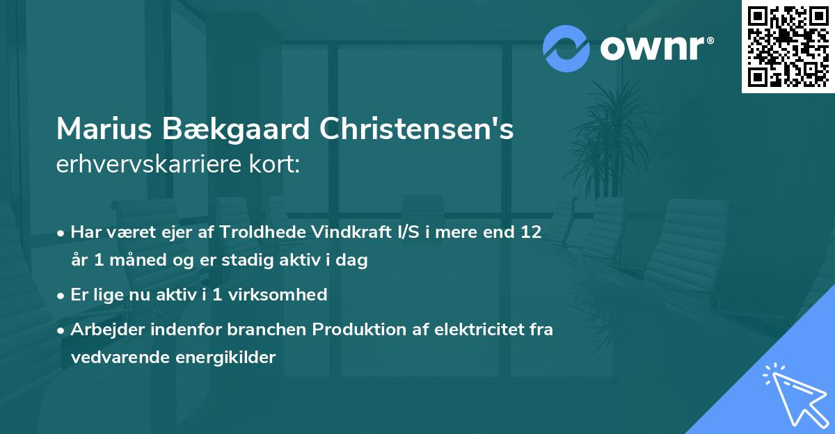 Marius Bækgaard Christensen's erhvervskarriere kort