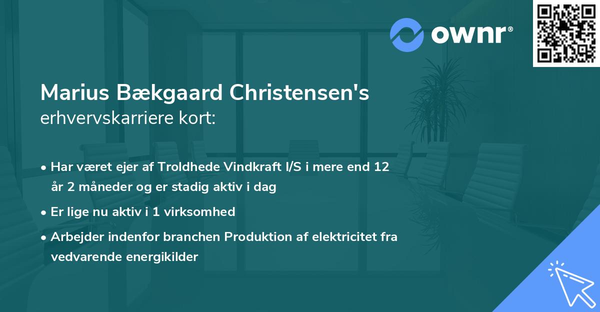 Marius Bækgaard Christensen's erhvervskarriere kort