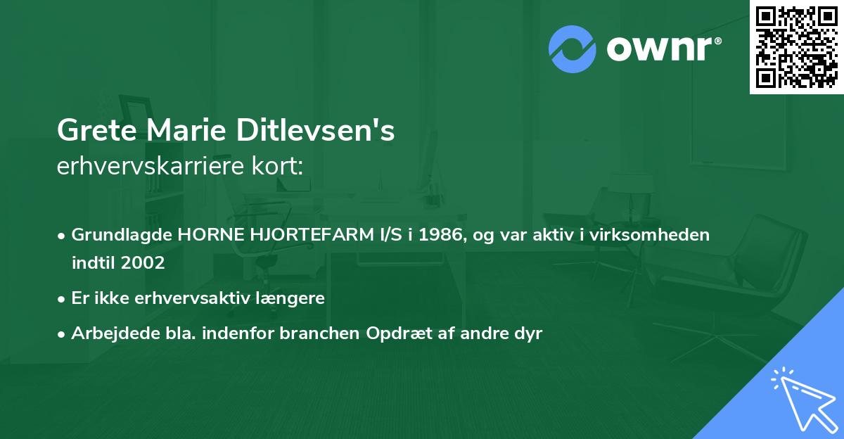 Grete Marie Ditlevsen's erhvervskarriere kort