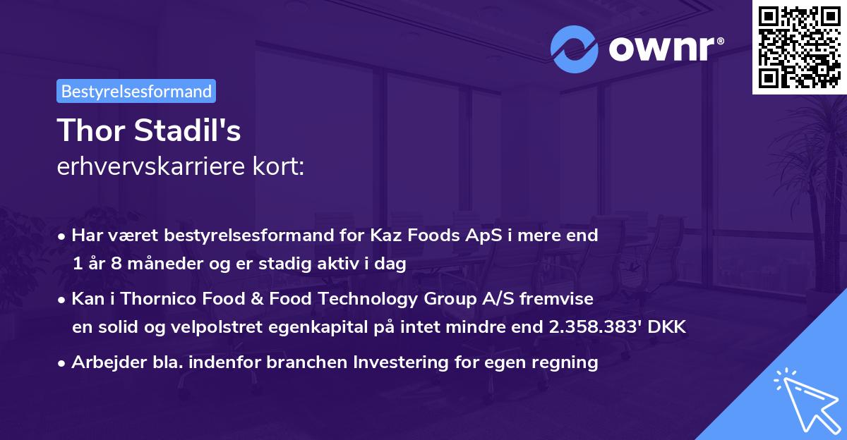 Thor Stadil's erhvervskarriere kort
