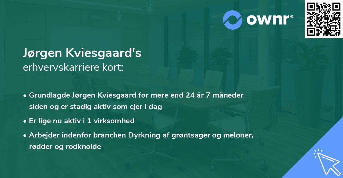 Jørgen Kviesgaard's erhvervskarriere kort
