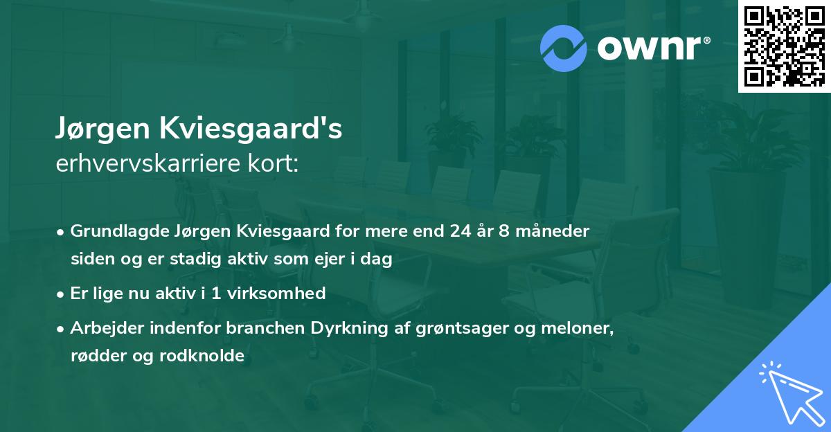 Jørgen Kviesgaard's erhvervskarriere kort