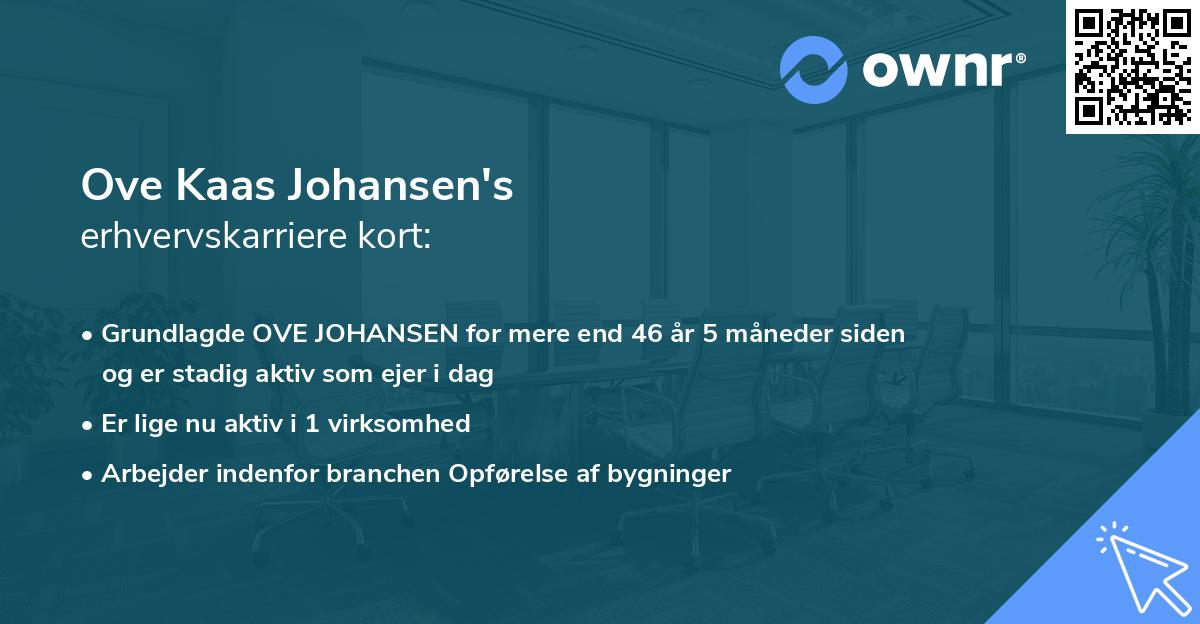 Ove Kaas Johansen's erhvervskarriere kort