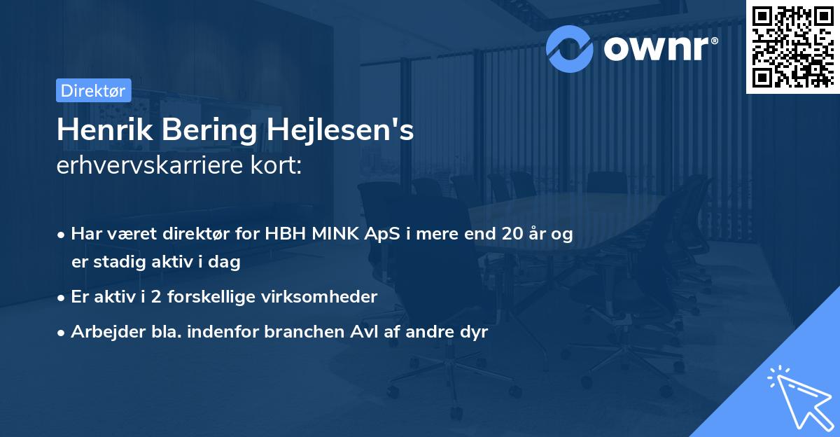 Henrik Bering Hejlesen's erhvervskarriere kort