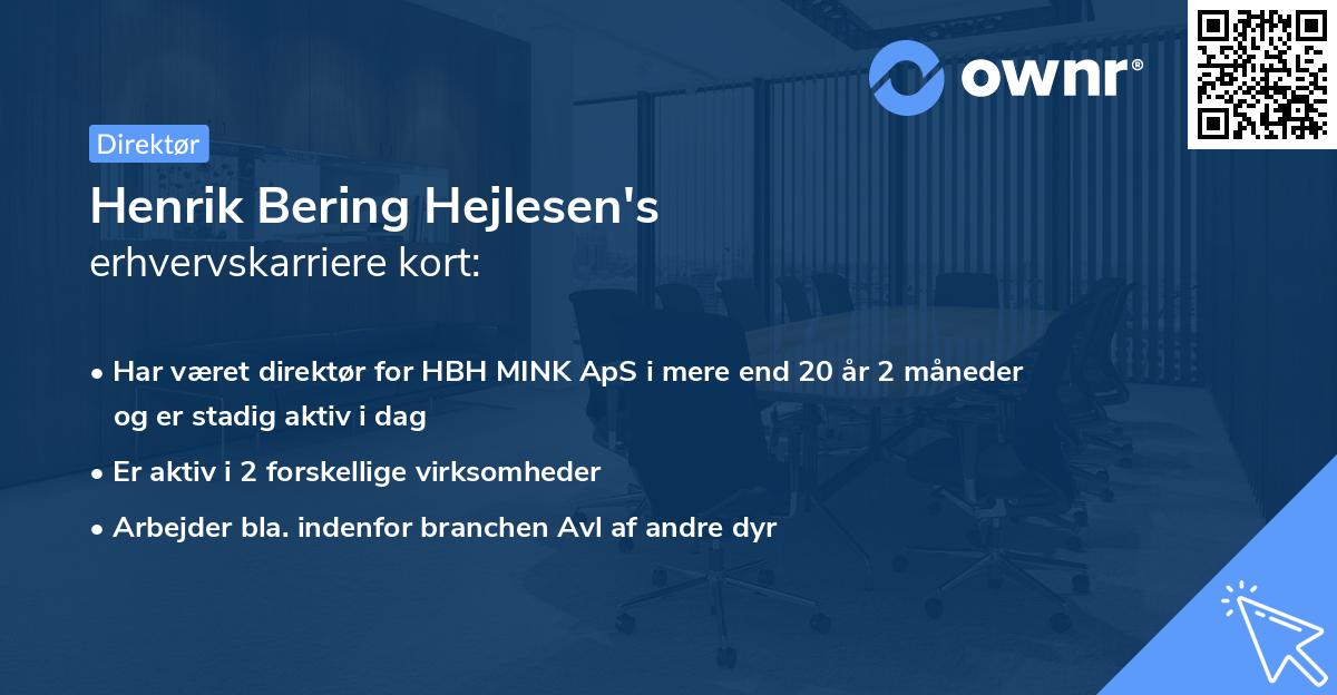 Henrik Bering Hejlesen's erhvervskarriere kort
