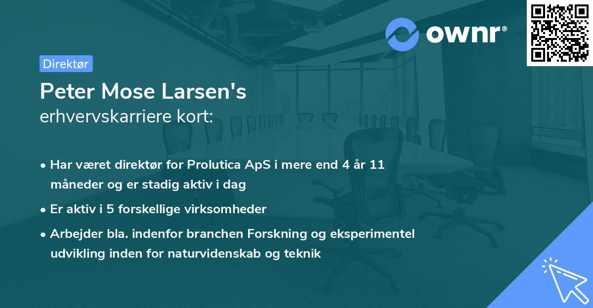 Peter Mose Larsen's erhvervskarriere kort