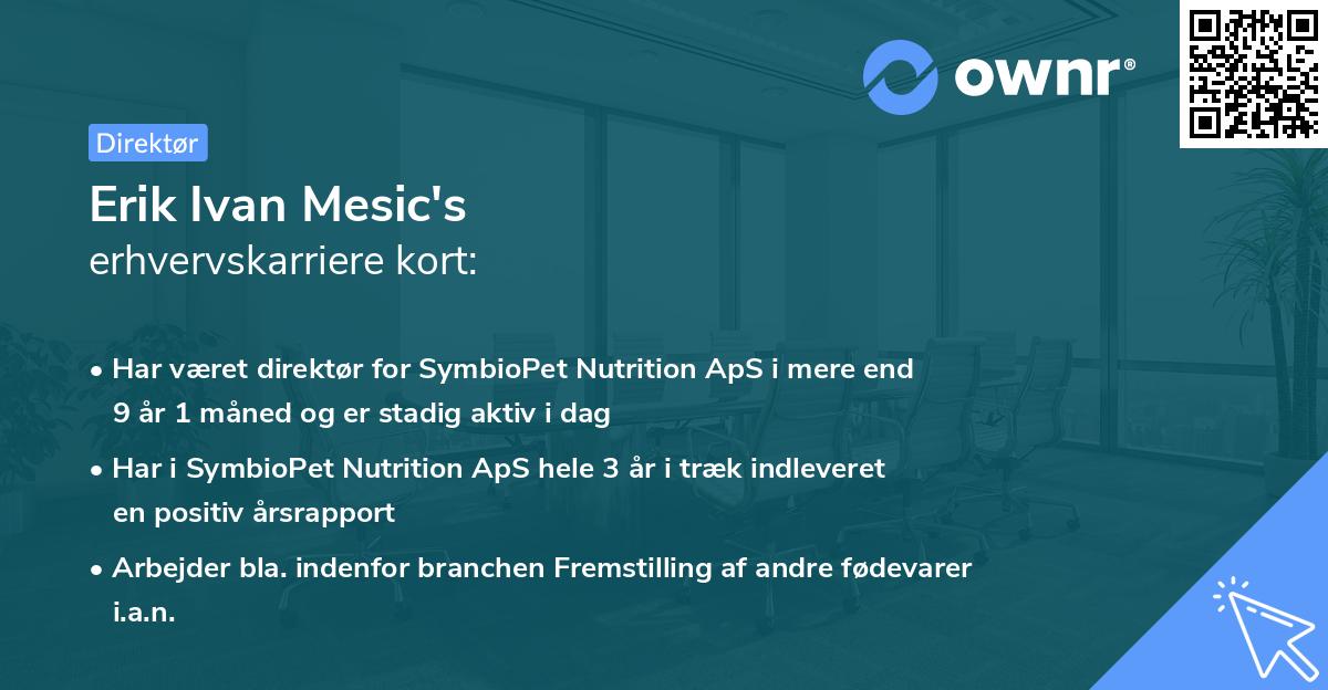Erik Ivan Mesic's erhvervskarriere kort