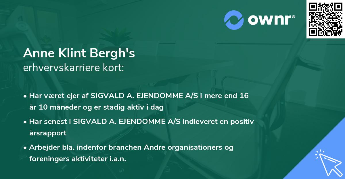 Anne Klint Bergh's erhvervskarriere kort
