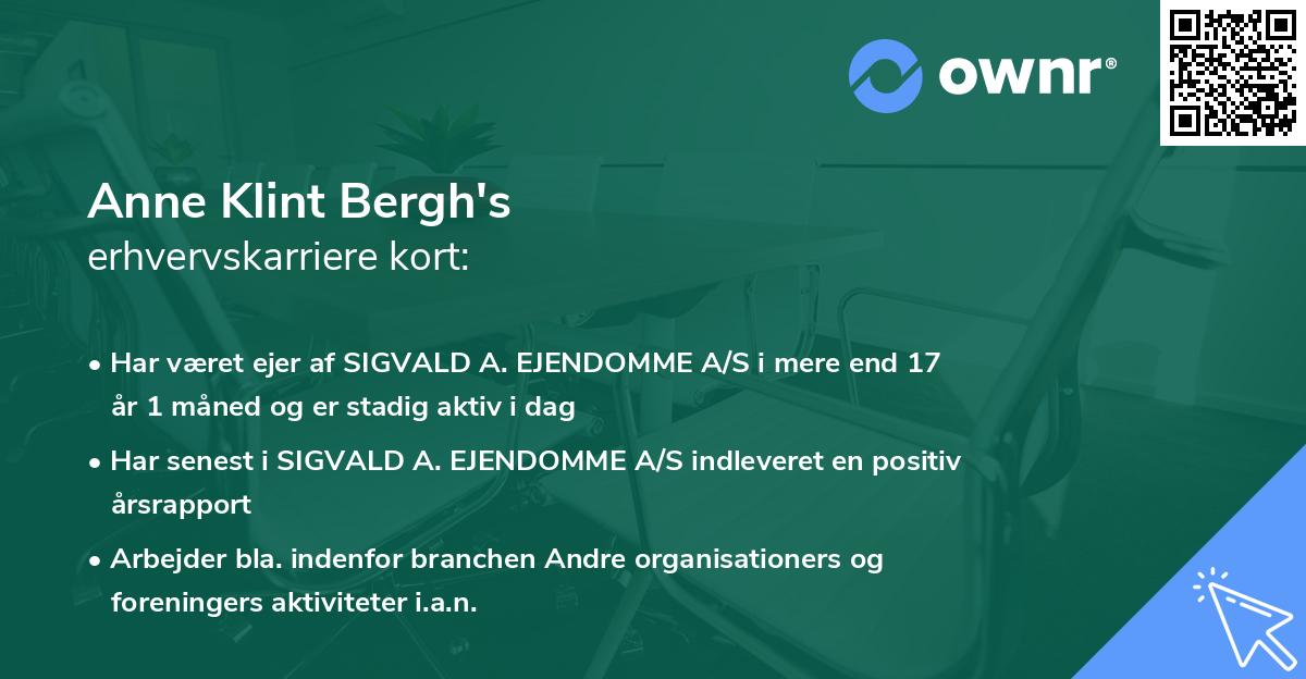 Anne Klint Bergh's erhvervskarriere kort