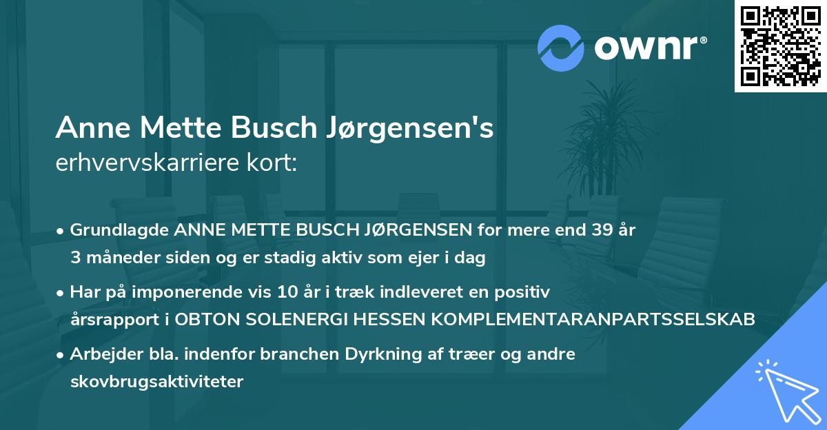 Anne Mette Busch Jørgensen's erhvervskarriere kort