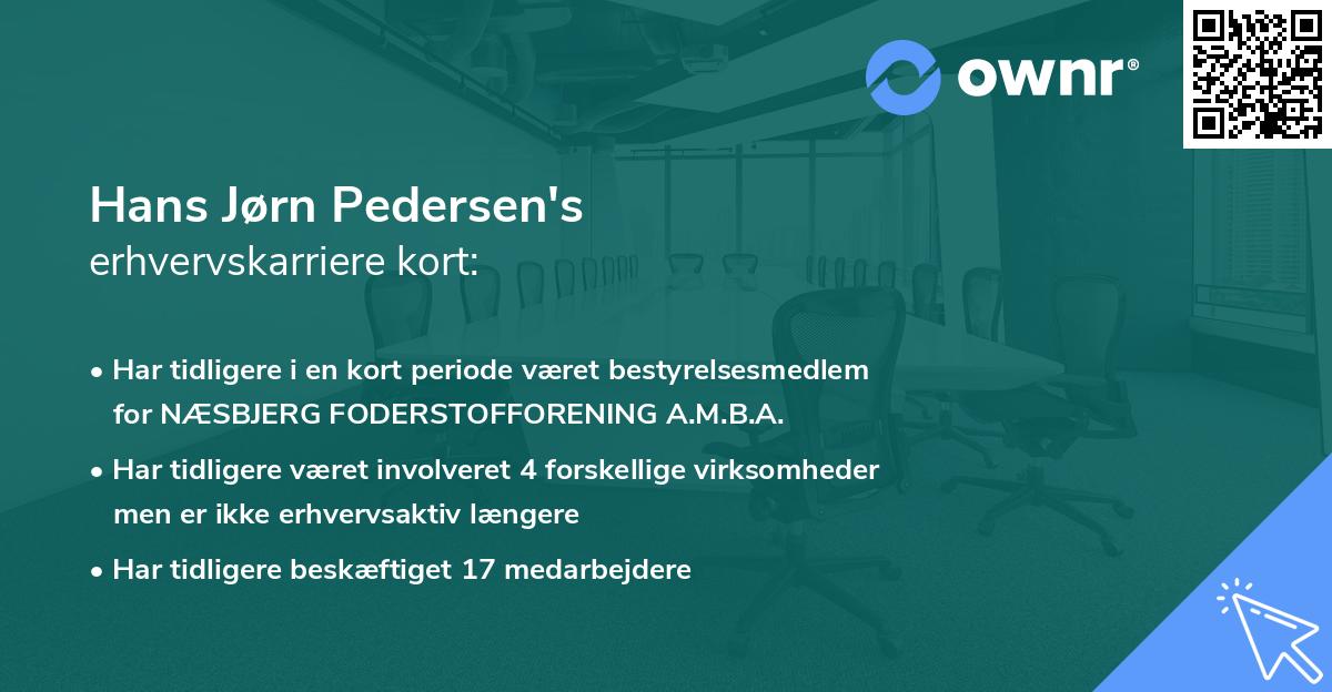 Hans Jørn Pedersen's erhvervskarriere kort