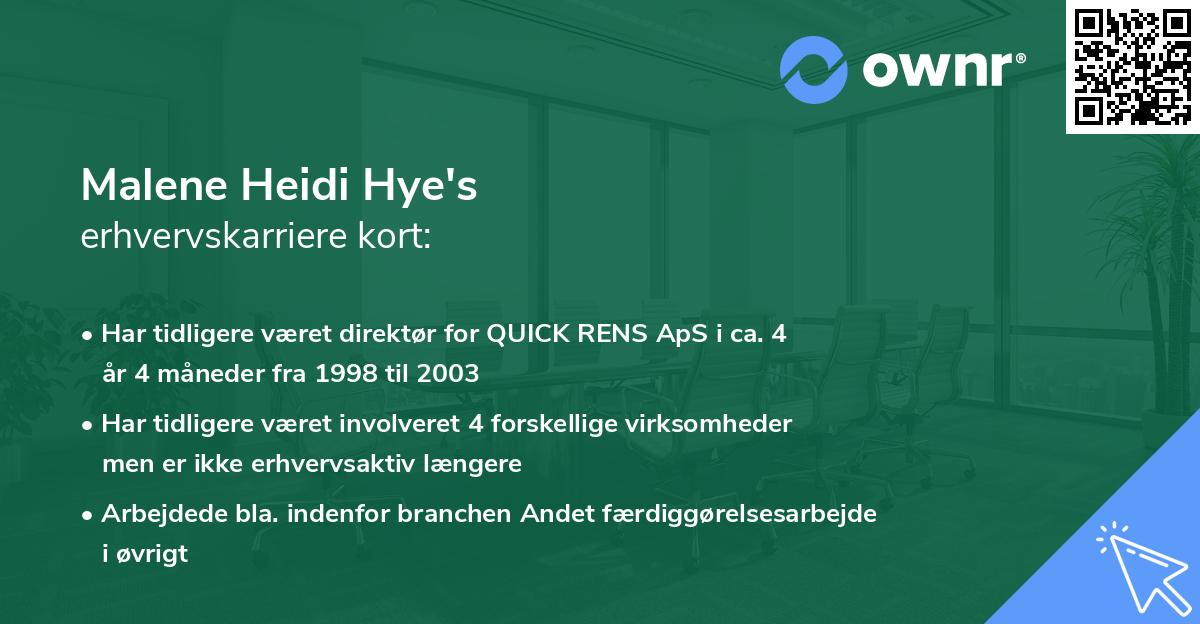Malene Heidi Hye's erhvervskarriere kort