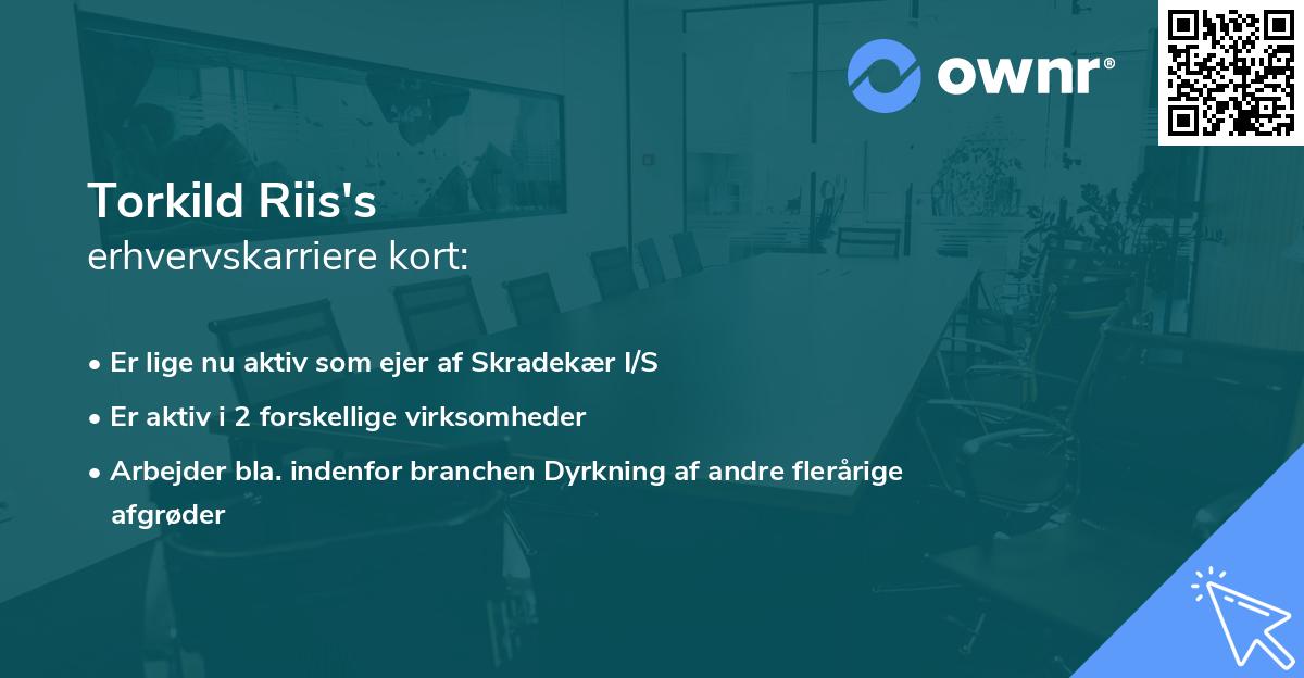 Torkild Riis's erhvervskarriere kort