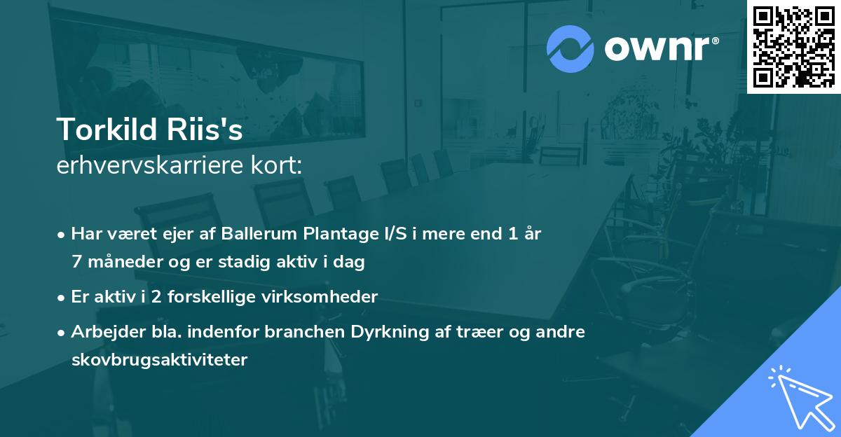 Torkild Riis's erhvervskarriere kort