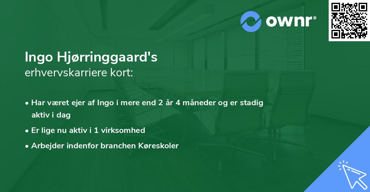 Ingo Hjørringgaard's erhvervskarriere kort