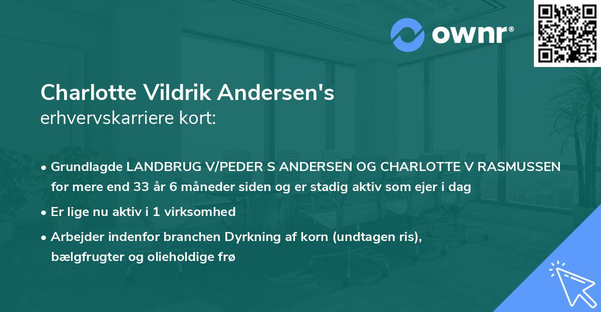 Charlotte Vildrik Andersen's erhvervskarriere kort