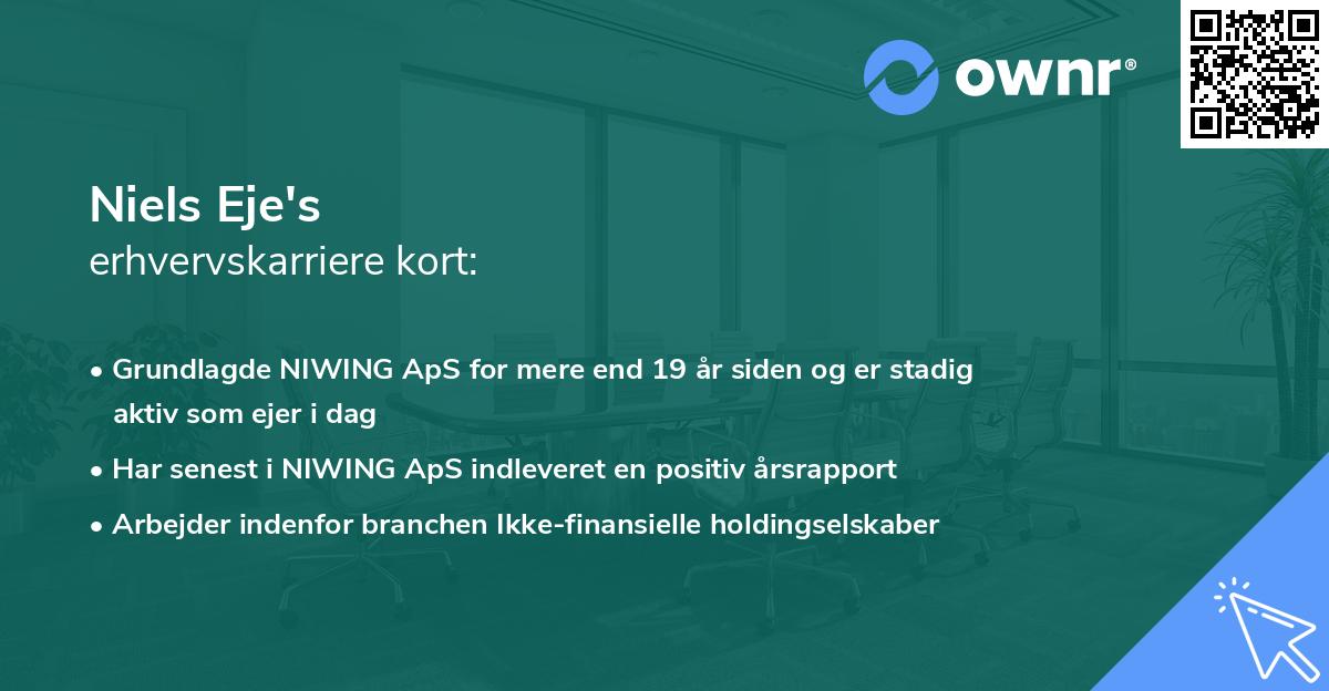 Niels Eje's erhvervskarriere kort