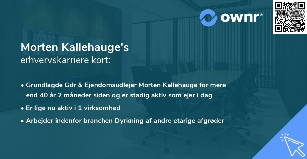 Morten Kallehauge's erhvervskarriere kort