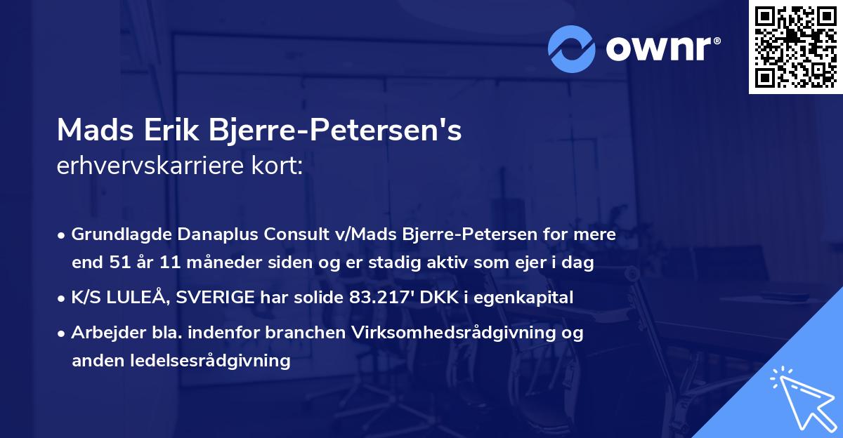Mads Erik Bjerre-Petersen's erhvervskarriere kort