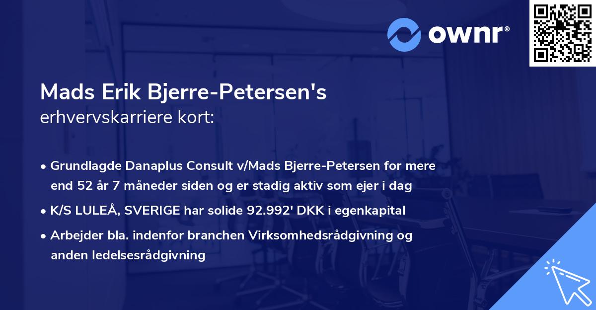 Mads Erik Bjerre-Petersen's erhvervskarriere kort
