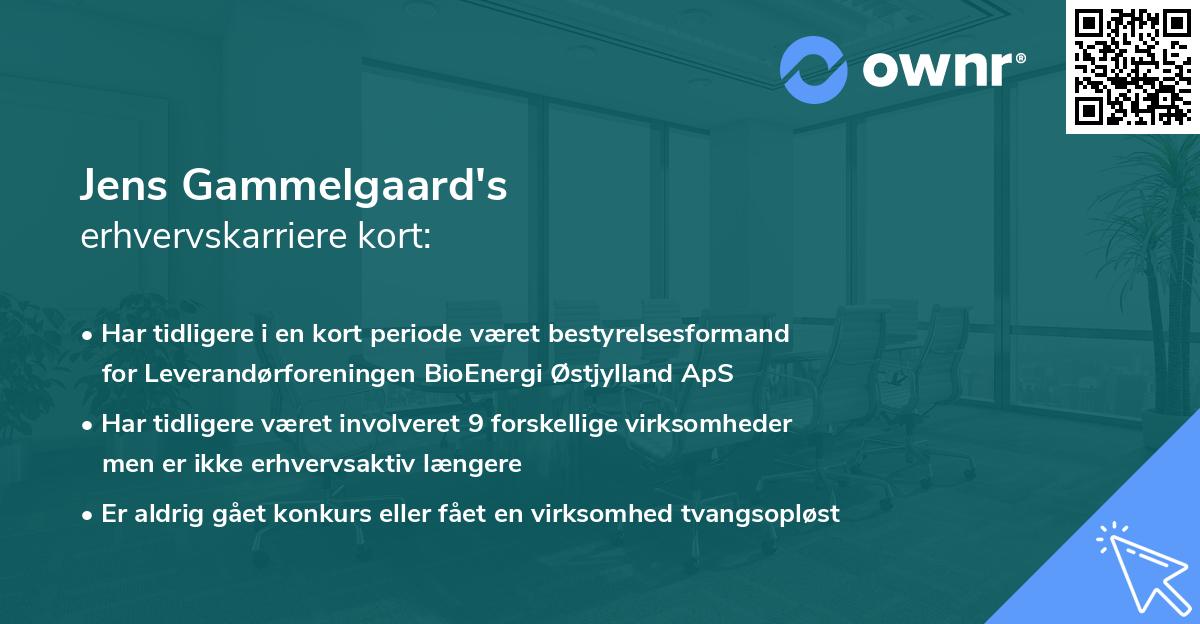 Jens Gammelgaard's erhvervskarriere kort