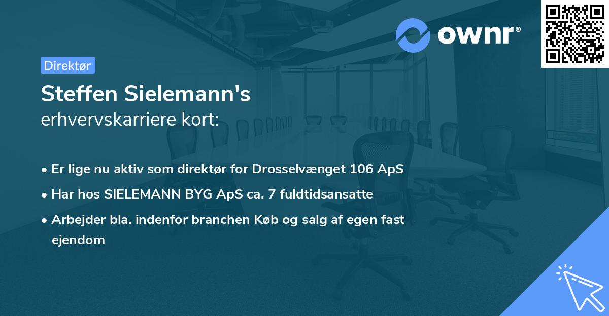 Steffen Sielemann's erhvervskarriere kort