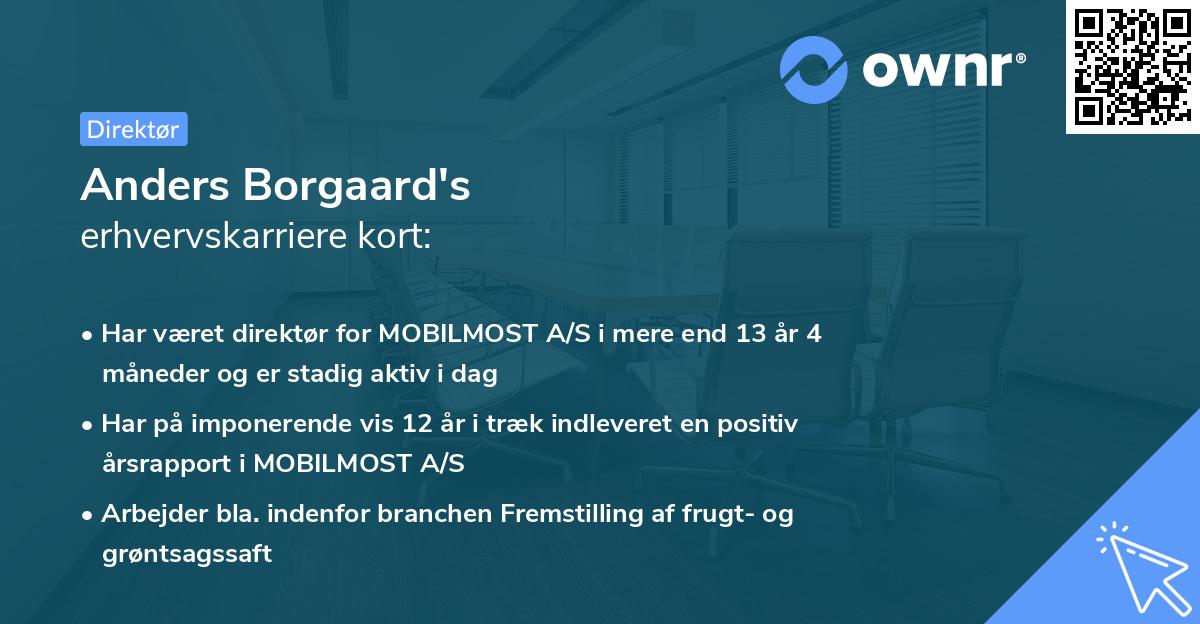 Anders Borgaard's erhvervskarriere kort
