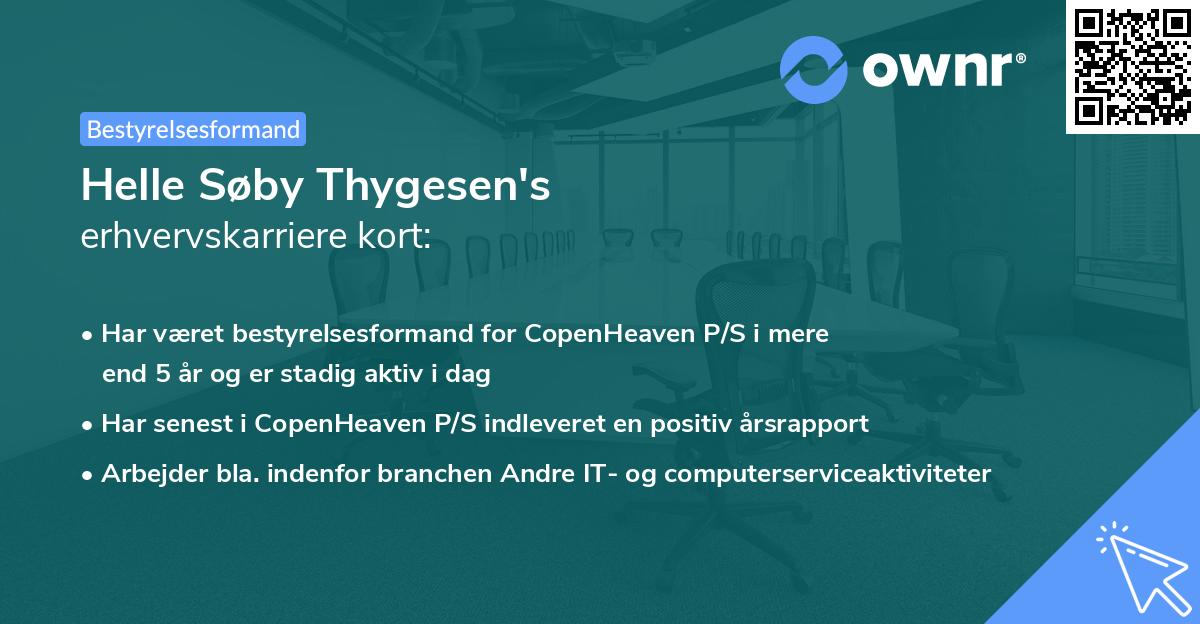 Helle Søby Thygesen's erhvervskarriere kort