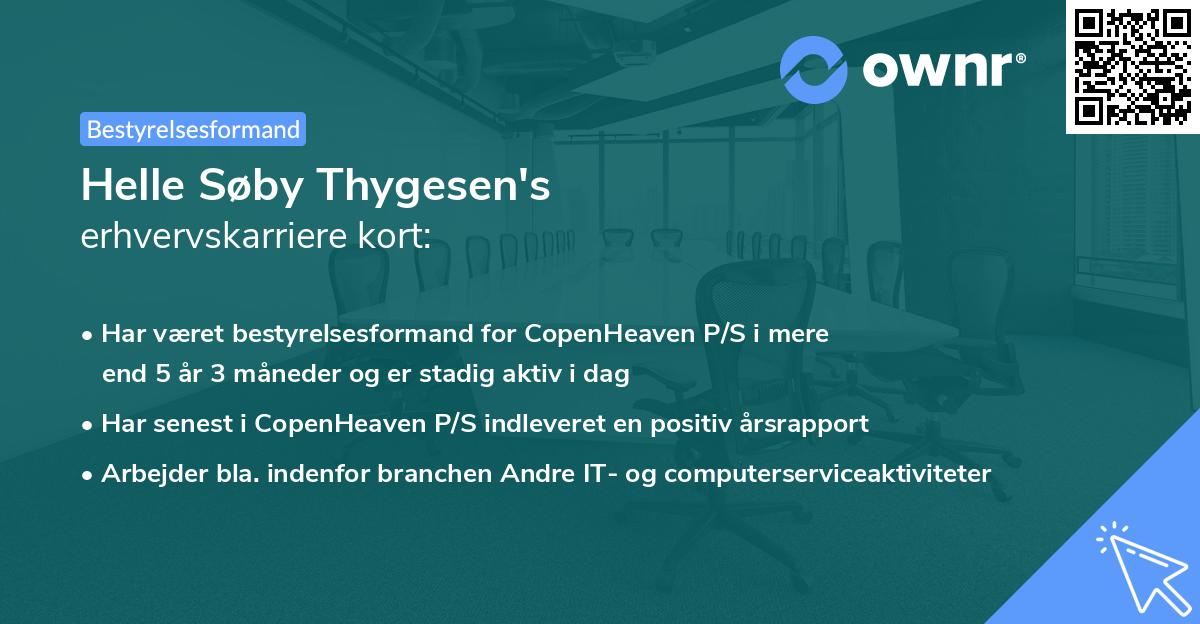Helle Søby Thygesen's erhvervskarriere kort