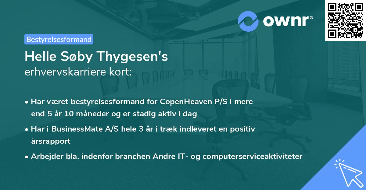 Helle Søby Thygesen's erhvervskarriere kort