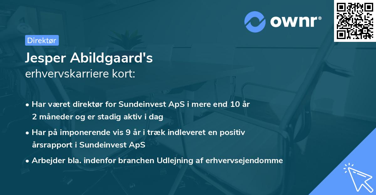 Jesper Abildgaard's erhvervskarriere kort