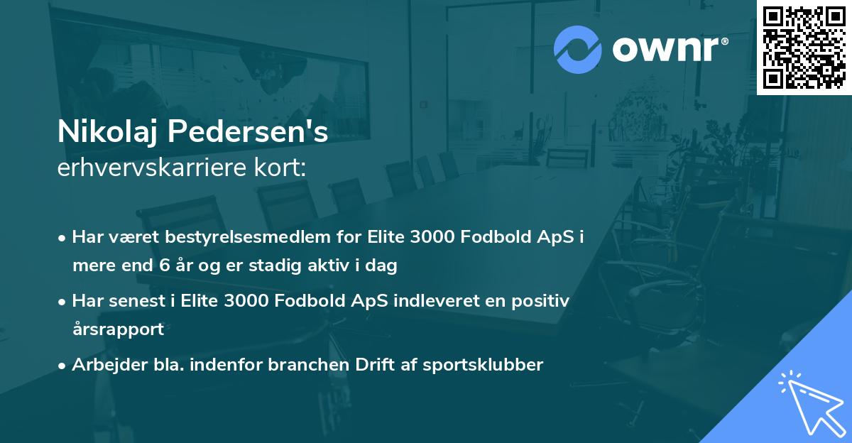 Nikolaj Pedersen's erhvervskarriere kort