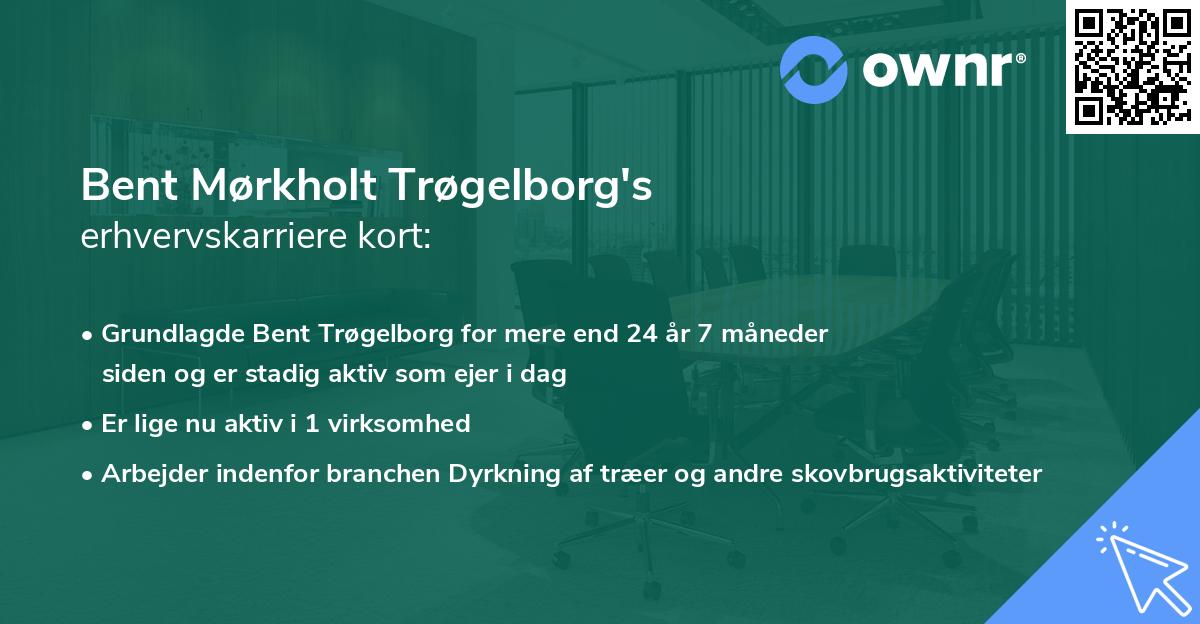 Bent Mørkholt Trøgelborg's erhvervskarriere kort