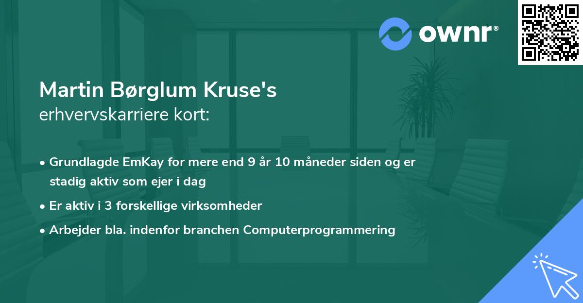 Martin Børglum Kruse's erhvervskarriere kort