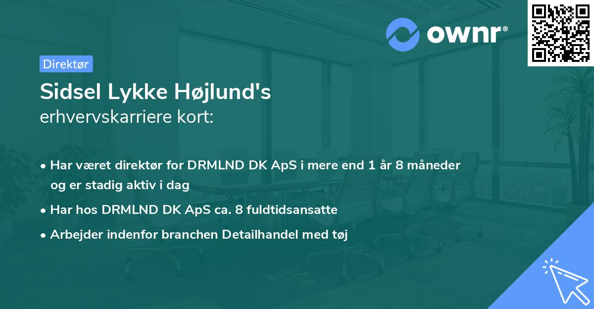 Sidsel Lykke Højlund's erhvervskarriere kort