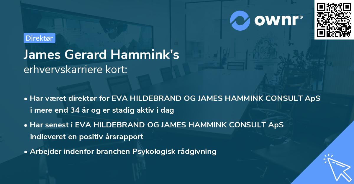 James Gerard Hammink's erhvervskarriere kort