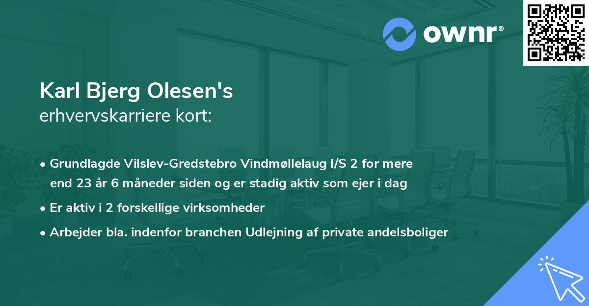 Karl Bjerg Olesen's erhvervskarriere kort