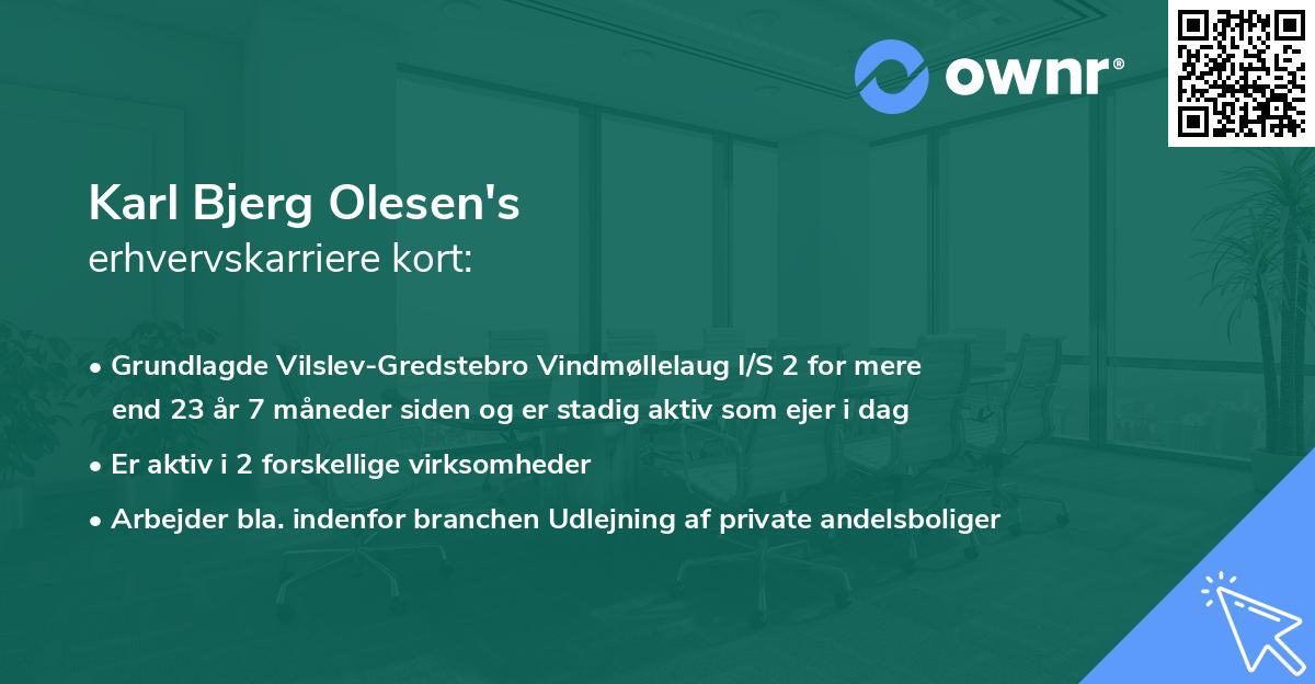 Karl Bjerg Olesen's erhvervskarriere kort