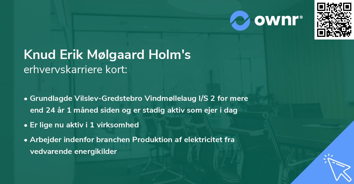 Knud Erik Mølgaard Holm's erhvervskarriere kort
