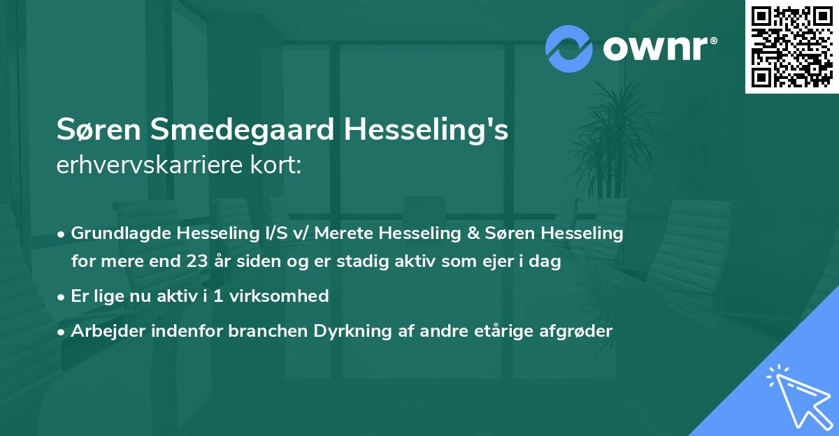 Søren Smedegaard Hesseling's erhvervskarriere kort