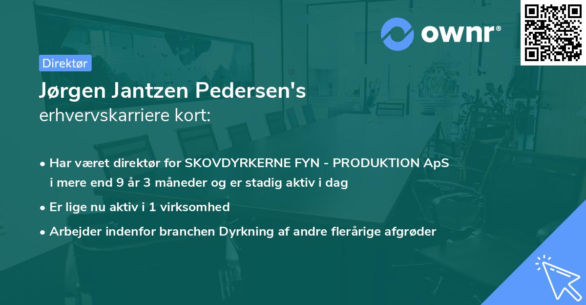 Jørgen Jantzen Pedersen's erhvervskarriere kort