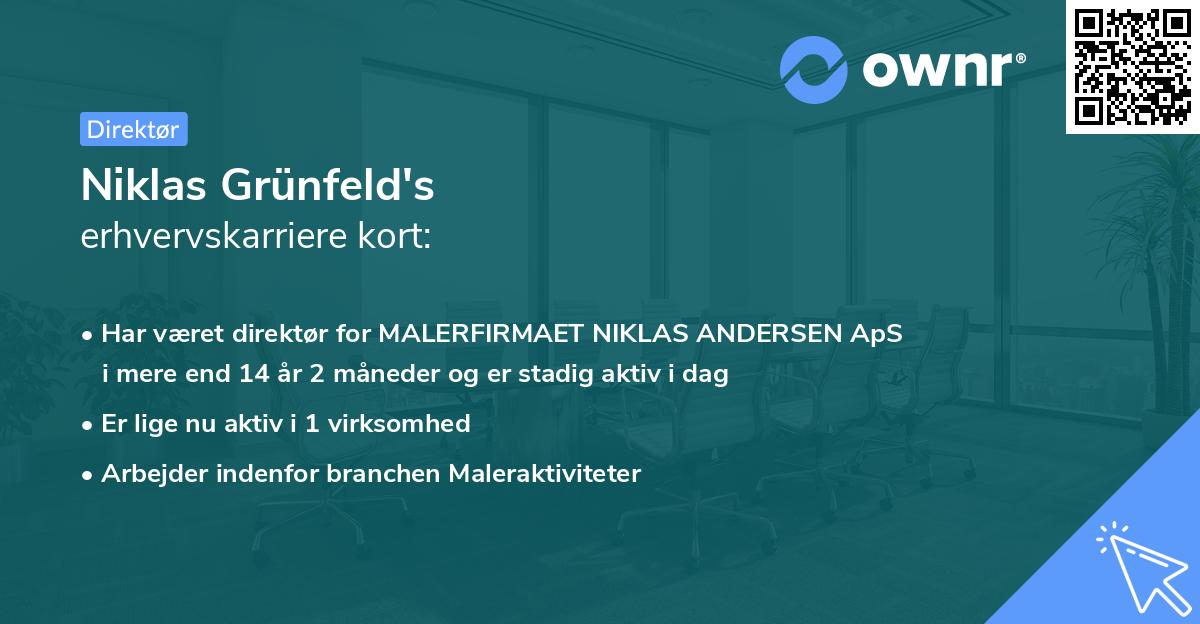 Niklas Grünfeld's erhvervskarriere kort