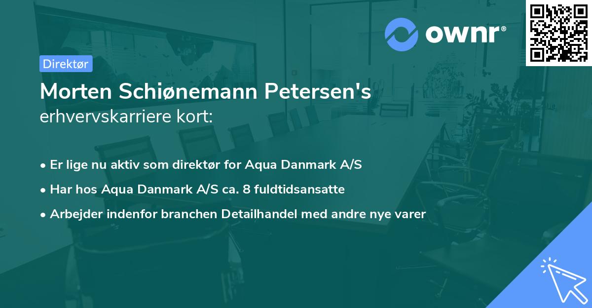 Morten Schiønemann Petersen's erhvervskarriere kort