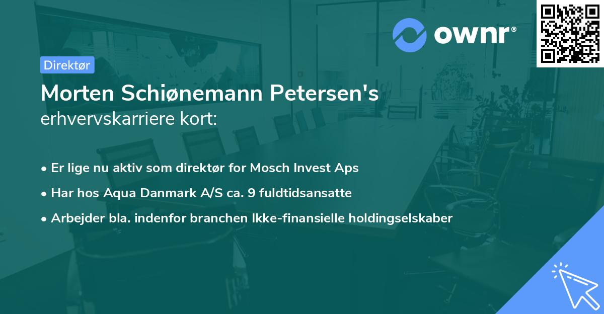 Morten Schiønemann Petersen's erhvervskarriere kort